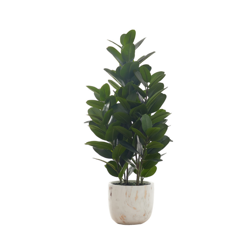 Plante artificielle - garcinia intérieur pot 7’’ 31’’H - Monarch (I 9507) Nouveau